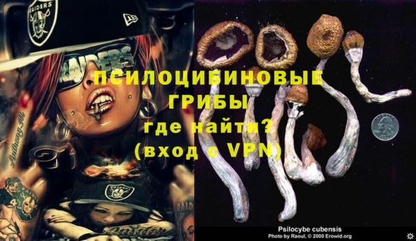 мяу мяу мука Абинск