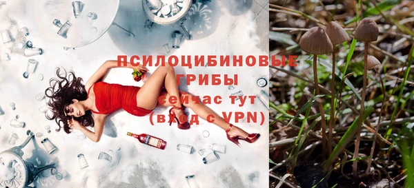 героин Алексин
