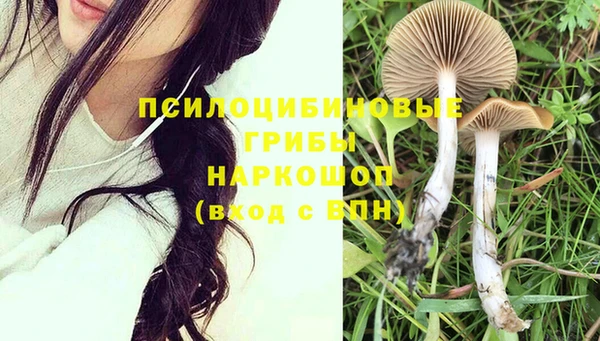ПСИЛОЦИБИНОВЫЕ ГРИБЫ Алзамай