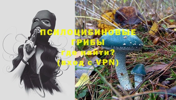 ПСИЛОЦИБИНОВЫЕ ГРИБЫ Алзамай