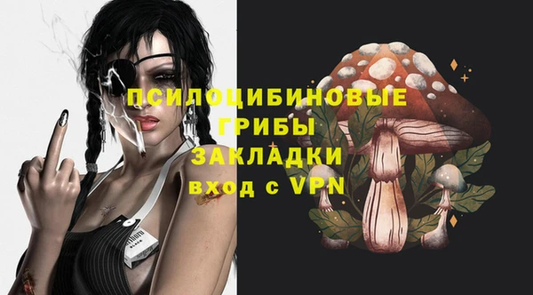 круглые Алексеевка