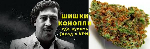 крисы Абаза