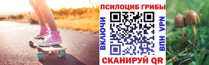 Галлюциногенные грибы Psilocybe  маркетплейс официальный сайт  Павловский Посад 