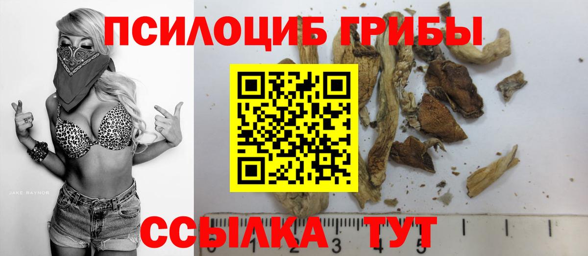закладки  Псилоцибиновые грибы Psilocybine cubensis  Вход с VPN  Павловский Посад  Псилоцибиновые грибы Magic Shrooms 